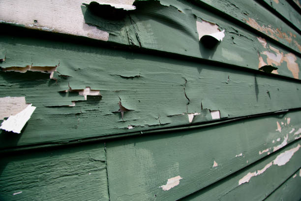 Demolition Debris Removal in Long Beach, IN